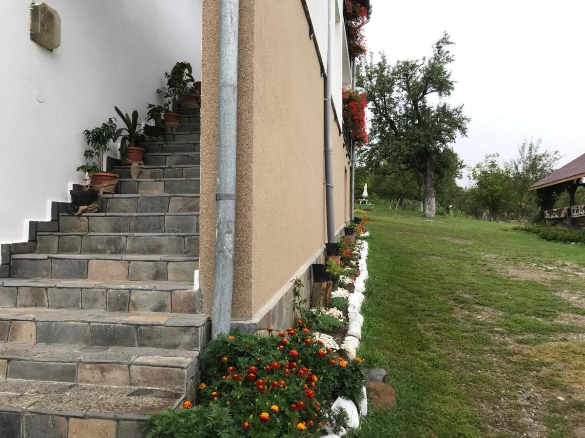 Casa Relax Hotel Văleni Екстериор снимка